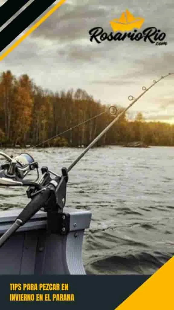 Cómo mejorar tu experiencia de pesca en el río Paraná