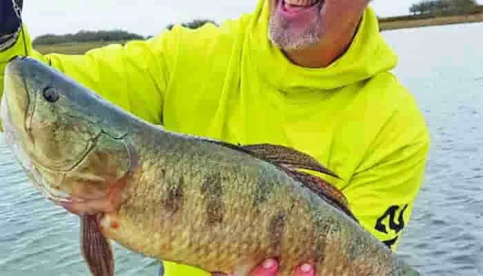 Consejos para la pesca de tararira en el río Paraná