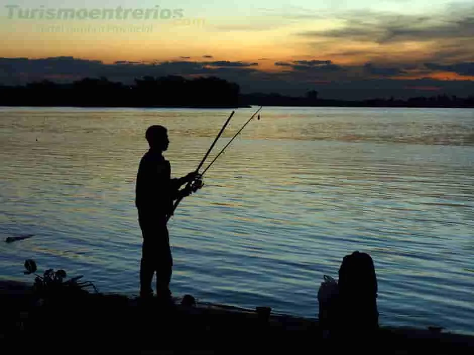 Excursiones de pesca en el río Paraná: cómo planificarlas