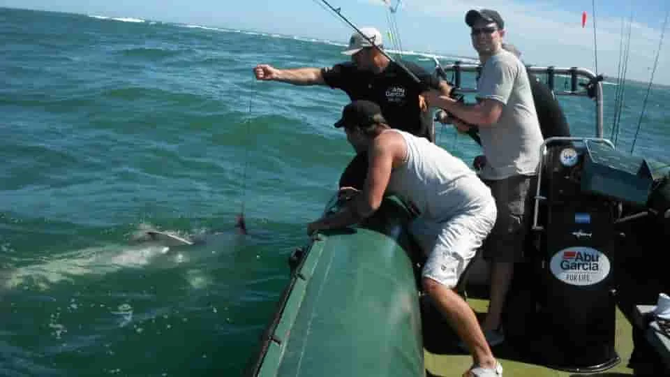 La importancia de la conservación en la pesca deportiva