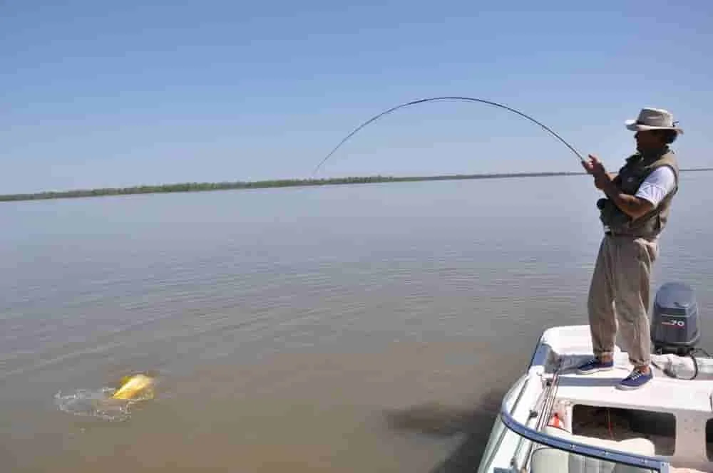 Pesca con mosca en el río Paraná: una guía para principiantes
