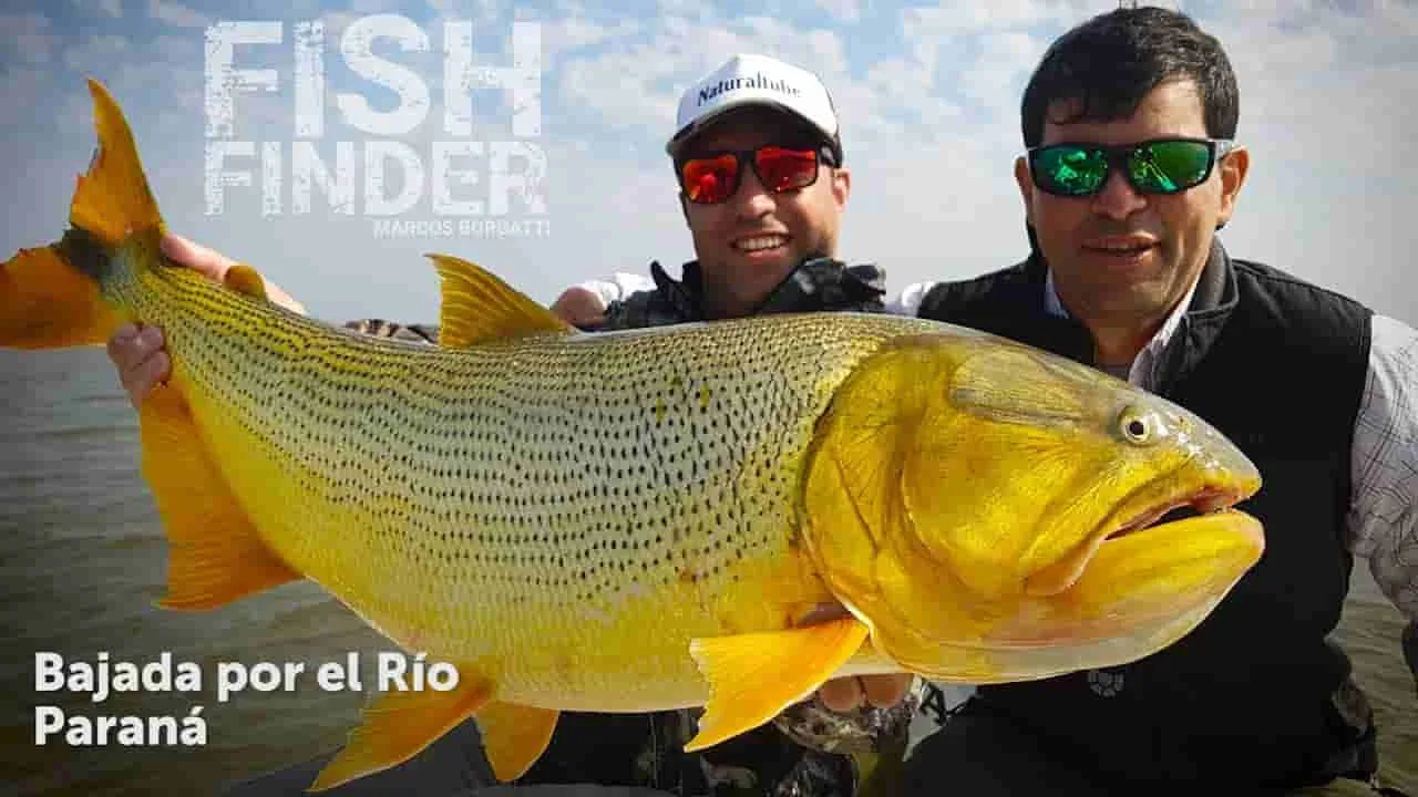 Pesca de dorado en el río Paraná: consejos y trucos