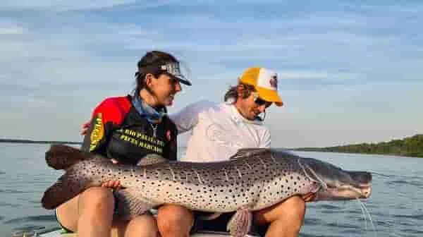 Seguridad en la pesca: consejos para pescar en el río Paraná