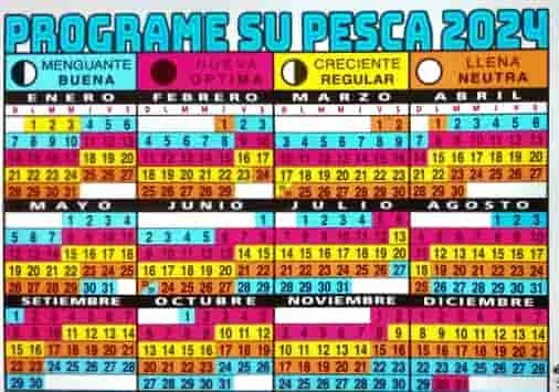Temporada de pesca en el río Paraná: mejores momentos para visitar